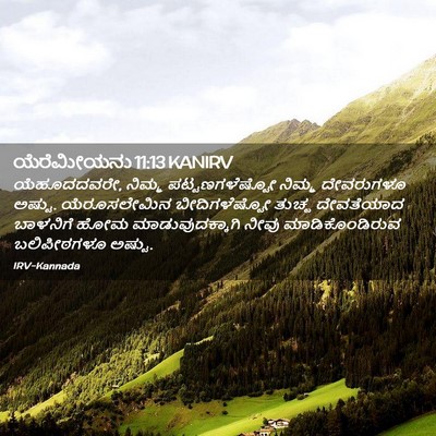 Picture 02 - ಯೆರೆಮೀಯನು 11:13 KANIRV - ಯೆಹೂದದವರೇ, ನಿಮ್ಮ - Bible Verse Picture