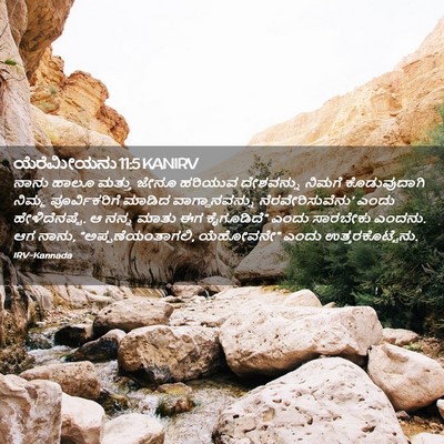 Picture 02 - ಯೆರೆಮೀಯನು 11:5 KANIRV - ನಾನು ಹಾಲೂ ಮತ್ತು - Bible Verse Picture