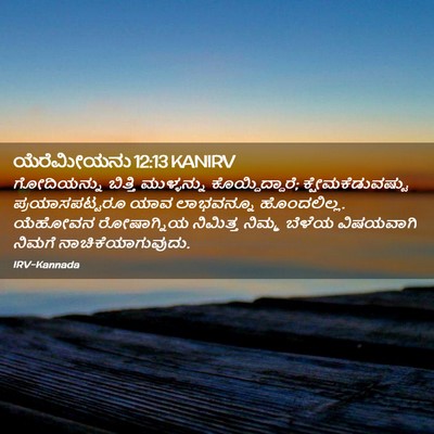 Picture 02 - ಯೆರೆಮೀಯನು 12:13 KANIRV - ಗೋದಿಯನ್ನು ಬಿತ್ತಿ - Bible Verse Picture