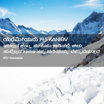 Picture 02 - ಯೆರೆಮೀಯನು 14:5 KANIRV - ಇದಲ್ಲದೆ ಹೆಣ್ಣು - Bible Verse Picture