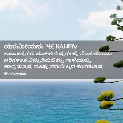 Picture 02 - ಯೆರೆಮೀಯನು 14:6 KANIRV - ಕಾಡುಕತ್ತೆಗಳು - Bible Verse Picture