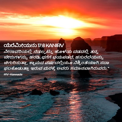 Picture 02 - ಯೆರೆಮೀಯನು 17:8 KANIRV - ನೀರಾವರಿಯಲ್ಲಿ - Bible Verse Picture