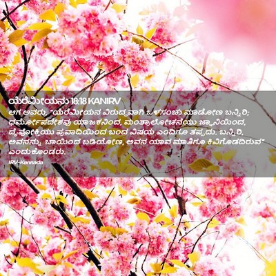 Picture 02 - ಯೆರೆಮೀಯನು 18:18 KANIRV - ಆಗ ಅವರು, “ಯೆರೆಮೀಯನ - Bible Verse Picture