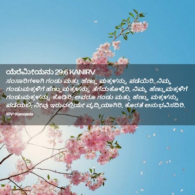 Picture 02 - ಯೆರೆಮೀಯನು 29:6 KANIRV - ಸಂಸಾರಿಗಳಾಗಿ ಗಂಡು - Bible Verse Picture