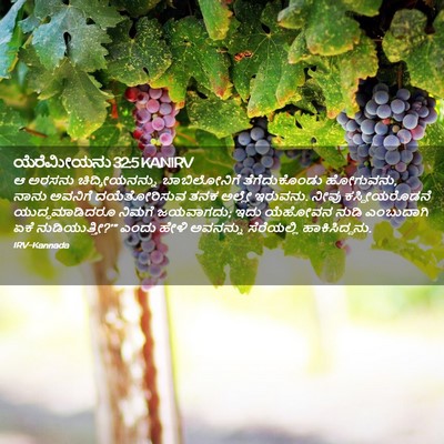 Picture 02 - ಯೆರೆಮೀಯನು 32:5 KANIRV - ಆ ಅರಸನು - Bible Verse Picture