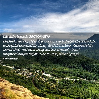 Picture 02 - ಯೆರೆಮೀಯನು 35:7 KANIRV - ಮನೆಕಟ್ಟಬಾರದು, ಬೀಜ - Bible Verse Picture
