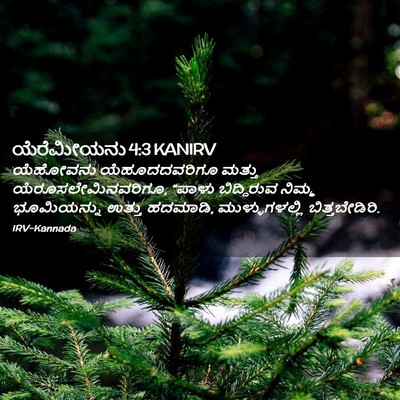 Picture 02 - ಯೆರೆಮೀಯನು 4:3 KANIRV - ಯೆಹೋವನು - Bible Verse Picture