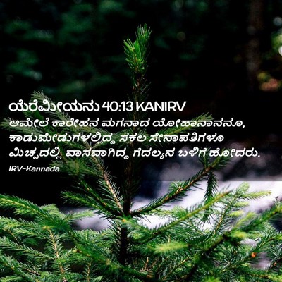 Picture 02 - ಯೆರೆಮೀಯನು 40:13 KANIRV - ಆಮೇಲೆ ಕಾರೇಹನ - Bible Verse Picture
