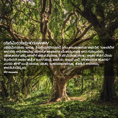 Picture 02 - ಯೆರೆಮೀಯನು 40:5 KANIRV - ಯೆರೆಮೀಯನು ಇನ್ನೂ - Bible Verse Picture