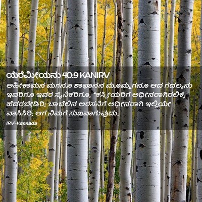 Picture 02 - ಯೆರೆಮೀಯನು 40:9 KANIRV - ಅಹೀಕಾಮನ ಮಗನೂ - Bible Verse Picture
