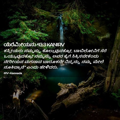 Picture 02 - ಯೆರೆಮೀಯನು 43:3 KANIRV - ಕಸ್ದೀಯರು ನಮ್ಮನ್ನು - Bible Verse Picture