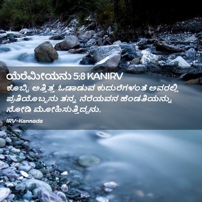 Picture 02 - ಯೆರೆಮೀಯನು 5:8 KANIRV - ಕೊಬ್ಬಿ ಅತ್ತಿತ್ತ - Bible Verse Picture