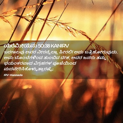 Picture 02 - ಯೆರೆಮೀಯನು 50:38 KANIRV - ಬರಗಾಲವು ಅವರ - Bible Verse Picture