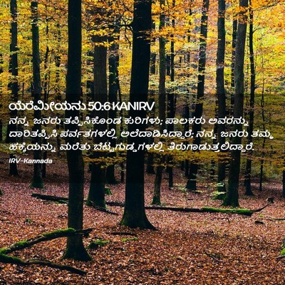 Picture 02 - ಯೆರೆಮೀಯನು 50:6 KANIRV - ನನ್ನ ಜನರು - Bible Verse Picture