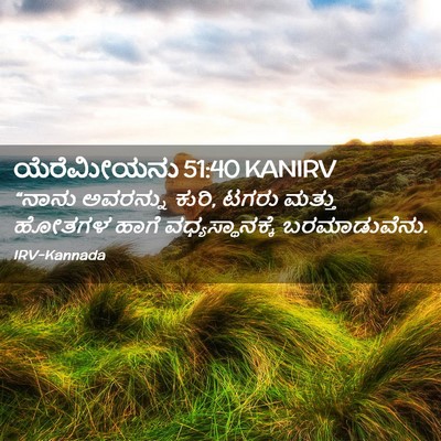 Picture 02 - ಯೆರೆಮೀಯನು 51:40 KANIRV - “ನಾನು ಅವರನ್ನು - Bible Verse Picture