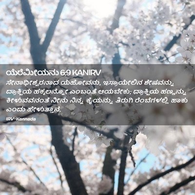 Picture 02 - ಯೆರೆಮೀಯನು 6:9 KANIRV - ಸೇನಾಧೀಶ್ವರನಾದ - Bible Verse Picture