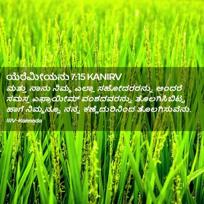 Picture 02 - ಯೆರೆಮೀಯನು 7:15 KANIRV - ಮತ್ತು ನಾನು ನಿಮ್ಮ - Bible Verse Picture