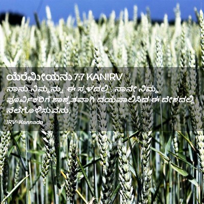 Picture 02 - ಯೆರೆಮೀಯನು 7:7 KANIRV - ನಾನು ನಿಮ್ಮನ್ನು ಈ - Bible Verse Picture