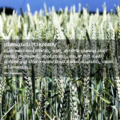 Picture 02 - ಯೆಶಾಯನು 1:13 KANIRV - ವ್ಯರ್ಥವಾದ - Bible Verse Picture