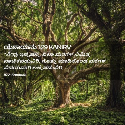 Picture 02 - ಯೆಶಾಯನು 1:29 KANIRV - “ನೀವು ಇಷ್ಟಪಟ್ಟ - Bible Verse Picture
