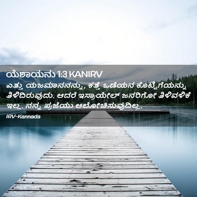 Picture 02 - ಯೆಶಾಯನು 1:3 KANIRV - ಎತ್ತು ಯಜಮಾನನನ್ನು, - Bible Verse Picture