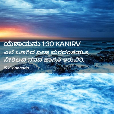 Picture 02 - ಯೆಶಾಯನು 1:30 KANIRV - ಎಲೆ ಒಣಗಿದ ಏಲಾ - Bible Verse Picture