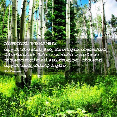 Picture 02 - ಯೆಶಾಯನು 11:13 KANIRV - ಎಫ್ರಾಯೀಮಿನ - Bible Verse Picture