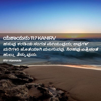 Picture 02 - ಯೆಶಾಯನು 11:7 KANIRV - ಹಸುವು ಕರಡಿಯ ಸಂಗಡ - Bible Verse Picture