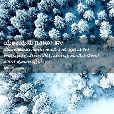 Picture 02 - ಯೆಶಾಯನು 11:8 KANIRV - ಮೊಲೆಕೂಸು ನಾಗರ - Bible Verse Picture