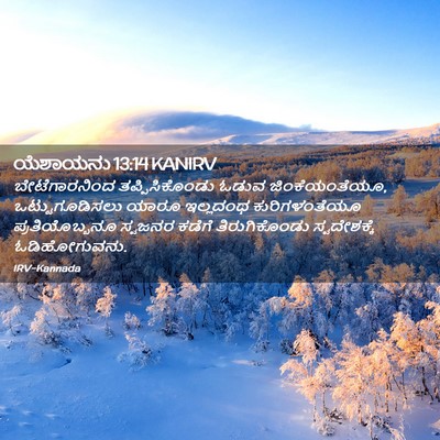 Picture 02 - ಯೆಶಾಯನು 13:14 KANIRV - ಬೇಟೆಗಾರನಿಂದ - Bible Verse Picture