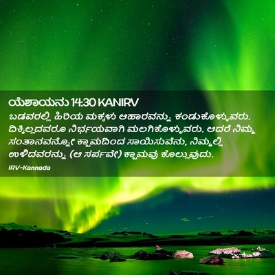 Picture 02 - ಯೆಶಾಯನು 14:30 KANIRV - ಬಡವರಲ್ಲಿ ಹಿರಿಯ - Bible Verse Picture