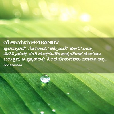 Picture 02 - ಯೆಶಾಯನು 14:31 KANIRV - ಪುರದ್ವಾರವೇ, - Bible Verse Picture
