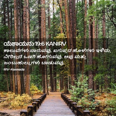 Picture 02 - ಯೆಶಾಯನು 19:6 KANIRV - ಕಾಲುವೆಗಳು - Bible Verse Picture