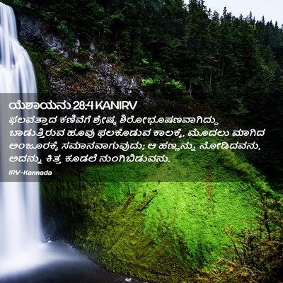 Picture 02 - ಯೆಶಾಯನು 28:4 KANIRV - ಫಲವತ್ತಾದ ಕಣಿವೆಗೆ - Bible Verse Picture
