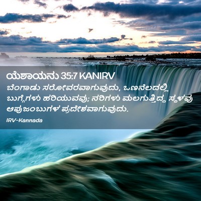 Picture 02 - ಯೆಶಾಯನು 35:7 KANIRV - ಬೆಂಗಾಡು - Bible Verse Picture