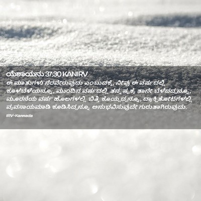 Picture 02 - ಯೆಶಾಯನು 37:30 KANIRV - ಈ ಮಾತುಗಳು - Bible Verse Picture