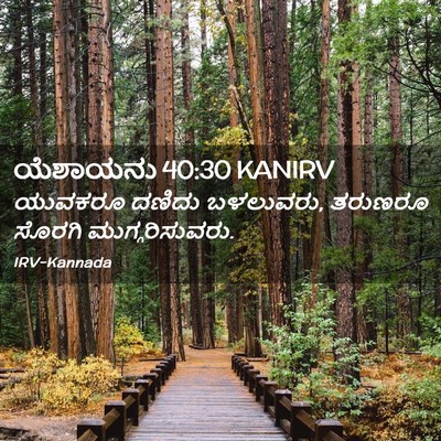 Picture 02 - ಯೆಶಾಯನು 40:30 KANIRV - ಯುವಕರೂ ದಣಿದು - Bible Verse Picture