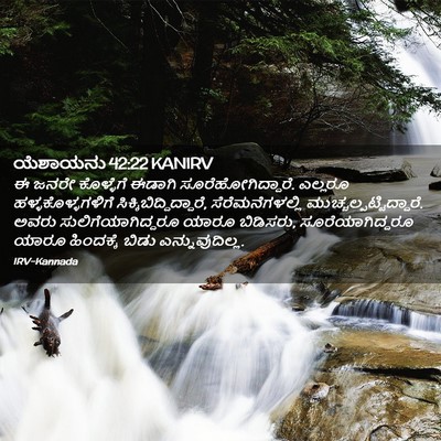 Picture 02 - ಯೆಶಾಯನು 42:22 KANIRV - ಈ ಜನರೇ ಕೊಳ್ಳೆಗೆ - Bible Verse Picture