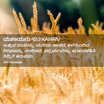 Picture 02 - ಯೆಶಾಯನು 42:3 KANIRV - ಜಜ್ಜಿದ ದಂಟನ್ನು - Bible Verse Picture