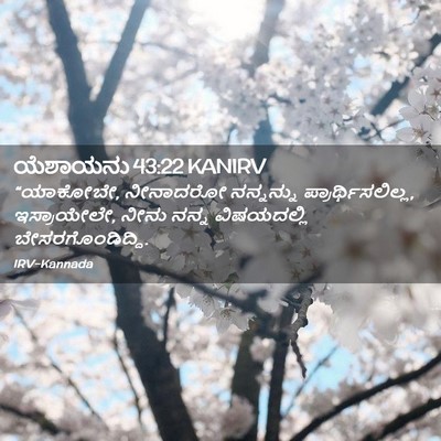 Picture 02 - ಯೆಶಾಯನು 43:22 KANIRV - “ಯಾಕೋಬೇ, ನೀನಾದರೋ - Bible Verse Picture