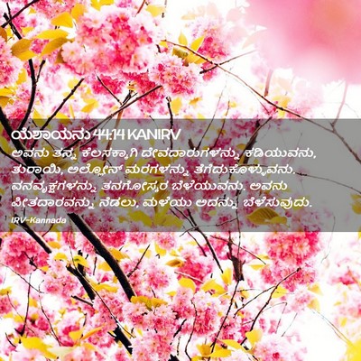 Picture 02 - ಯೆಶಾಯನು 44:14 KANIRV - ಅವನು ತನ್ನ - Bible Verse Picture
