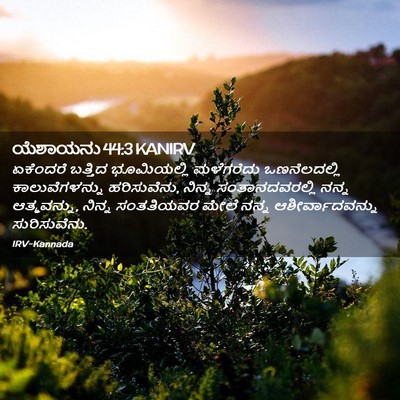 Picture 02 - ಯೆಶಾಯನು 44:3 KANIRV - ಏಕೆಂದರೆ ಬತ್ತಿದ - Bible Verse Picture