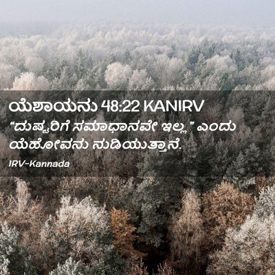 Picture 02 - ಯೆಶಾಯನು 48:22 KANIRV - “ದುಷ್ಟರಿಗೆ - Bible Verse Picture