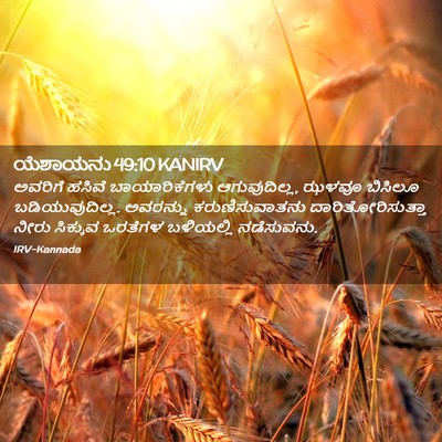 Picture 02 - ಯೆಶಾಯನು 49:10 KANIRV - ಅವರಿಗೆ ಹಸಿವೆ - Bible Verse Picture