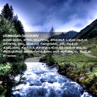 Picture 02 - ಯೆಶಾಯನು 5:2 KANIRV - ಅವನು ಅದನ್ನು ಅಗೆದು, - Bible Verse Picture