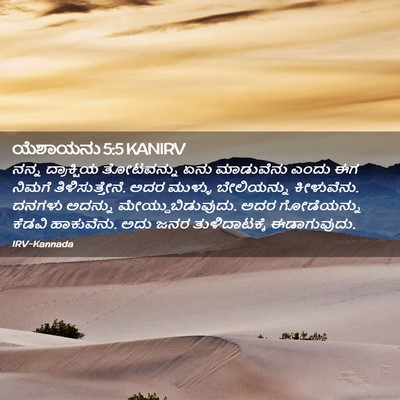 Picture 02 - ಯೆಶಾಯನು 5:5 KANIRV - ನನ್ನ ದ್ರಾಕ್ಷಿಯ - Bible Verse Picture