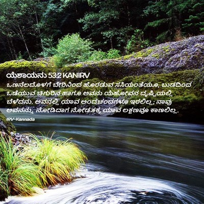 Picture 02 - ಯೆಶಾಯನು 53:2 KANIRV - ಒಣನೆಲದೊಳಗೆ - Bible Verse Picture