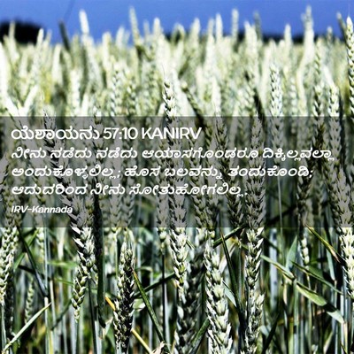 Picture 02 - ಯೆಶಾಯನು 57:10 KANIRV - ನೀನು ನಡೆದು ನಡೆದು - Bible Verse Picture