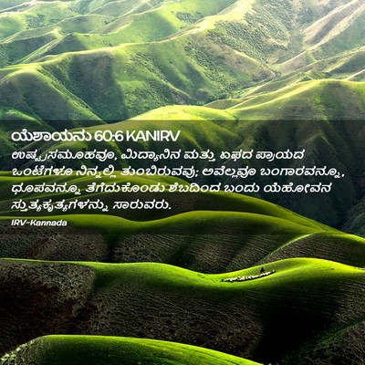Picture 02 - ಯೆಶಾಯನು 60:6 KANIRV - ಉಷ್ಟ್ರಸಮೂಹವೂ, - Bible Verse Picture