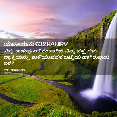 Picture 02 - ಯೆಶಾಯನು 63:2 KANIRV - ನಿನ್ನ ಉಡುಪು ಏಕೆ - Bible Verse Picture